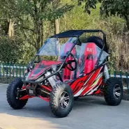 FEISHEN【Электрический двухместный карт】