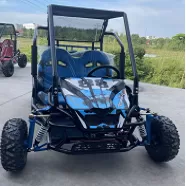 FEISHEN【Двухместный картинг】