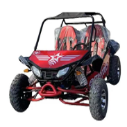 FEISHEN【Взрослый двухместный картинг】