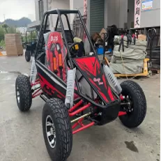 FEISHEN【Электрический одноместный картинг】