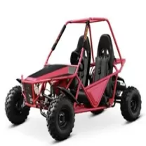 FEISHEN【Спортивный картинг для взрослых】