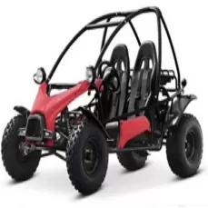 FEISHEN【Спортивный двухместный картинг для взрослых】